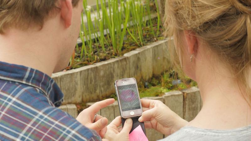 Banner 1500x1000 p1890755 two students exploring plants on their phone inside a botanical garden