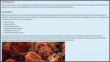 Illustration 560x315 screen shot 2018 05 03 at 22 31 27 screenshot of an online quiz including an image of blood cells